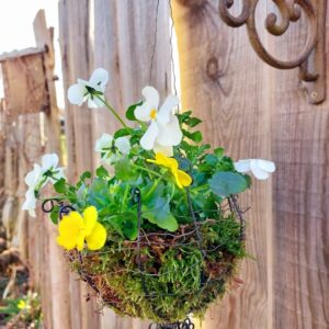 Workshop Heerlijcke sfeerlichtjes woensdag 3 juni 19.00 uur